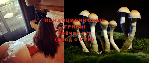 метамфетамин Гусиноозёрск