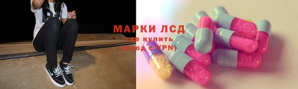 трава Гусев