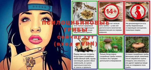 трава Гусев