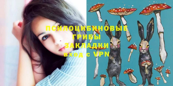трава Гусев