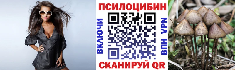 Галлюциногенные грибы Cubensis  Купить где  Солигалич 
